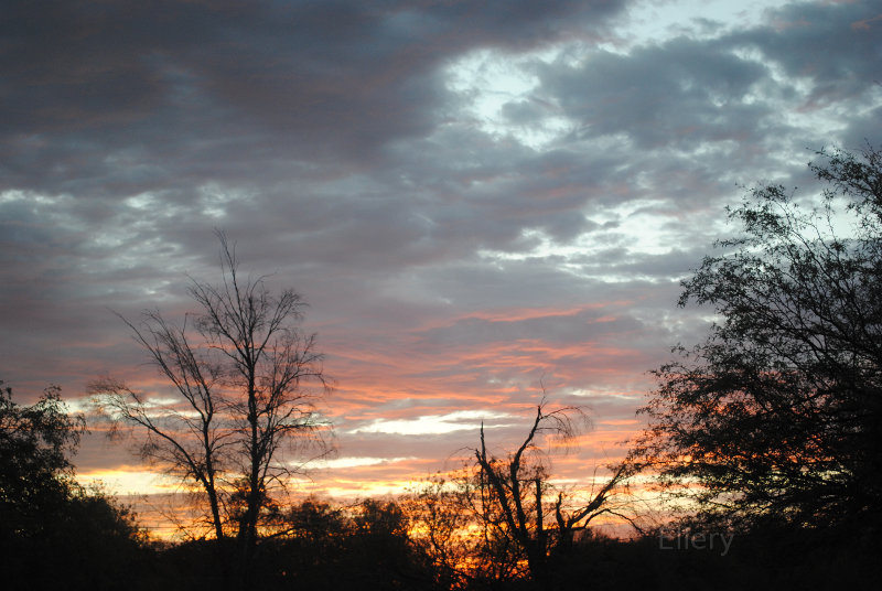 Sunset clouds, Tucson, Arizona