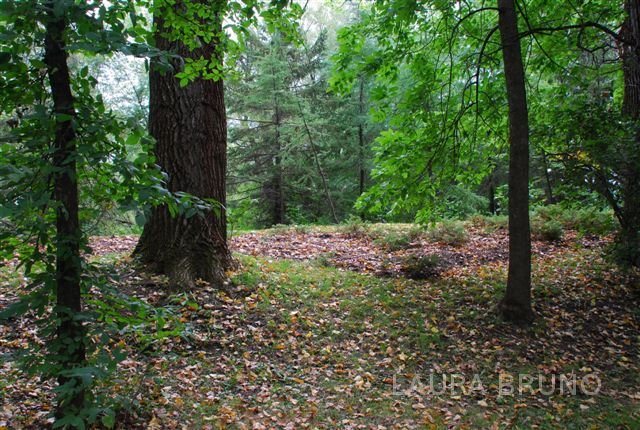 Path in Canada