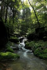 Waterfall at Mt. Takao, Tokyo, Japan