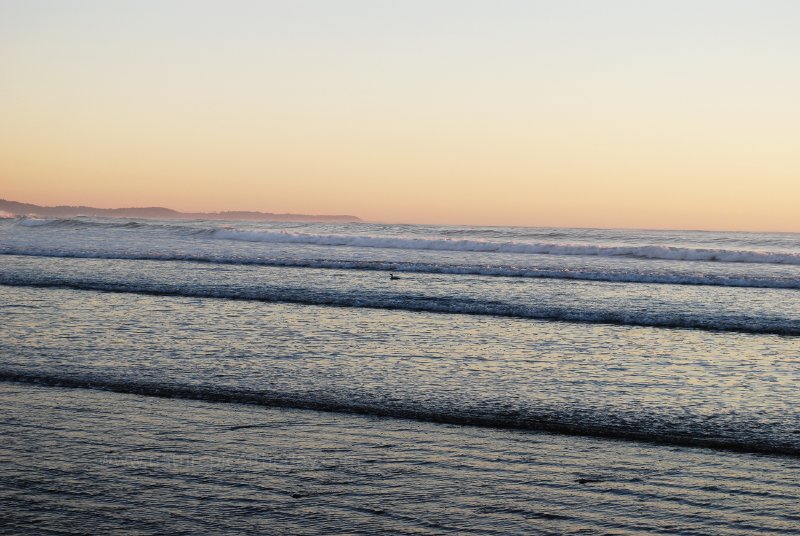 Water fowl in the ocean with the sun setting.