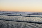 Water fowl in the ocean with the sun setting.