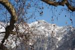 Snow Mountains, leaves.  Fall, Winter.