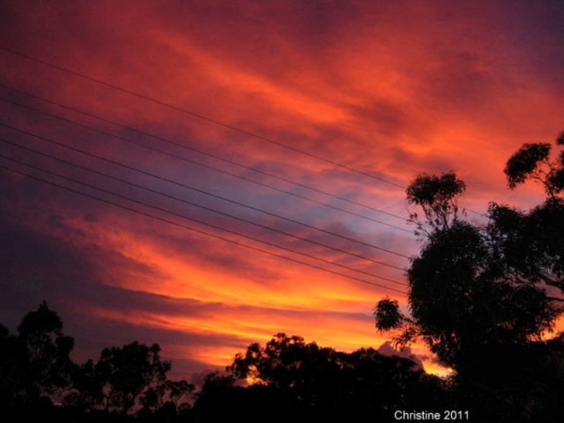 australian sunrise and gum trees