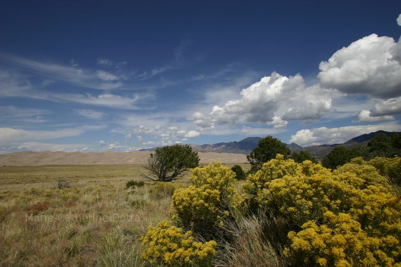 Great Sand Dunes National Park