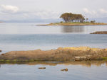 White Beach in Tasmania