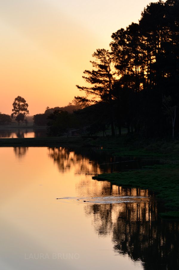 Park in Brazil