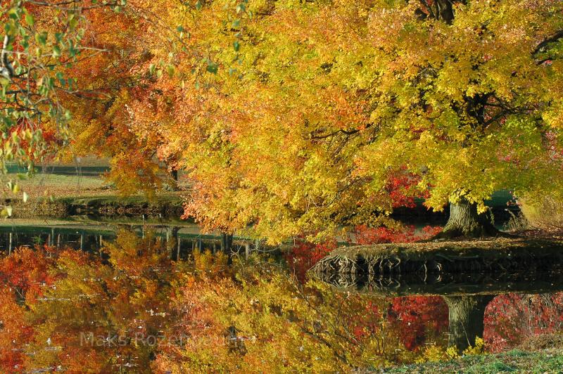 Autumn colors in Maryland