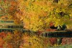 Autumn colors in Maryland