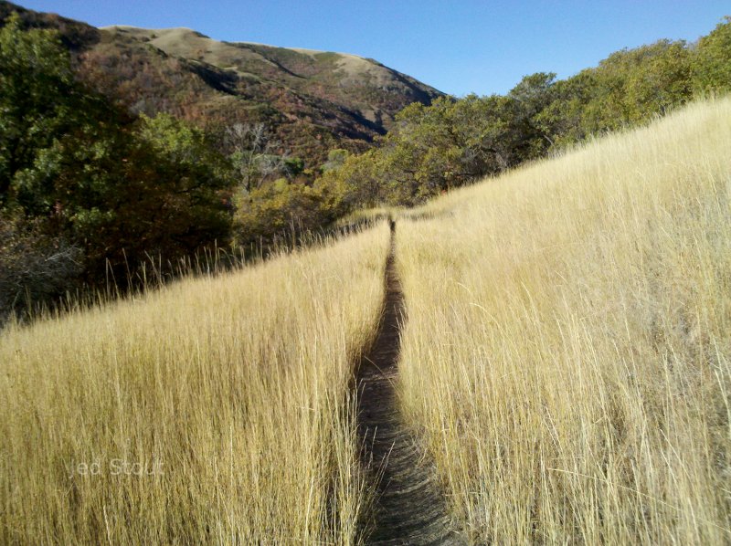 City Creek, Salt Lake City, Utah.