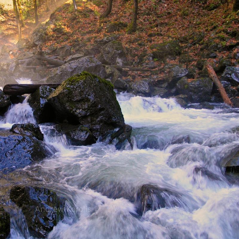 Rocky Brook Creek, Washington.