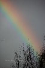 Rainbow in Olney, Maryland.