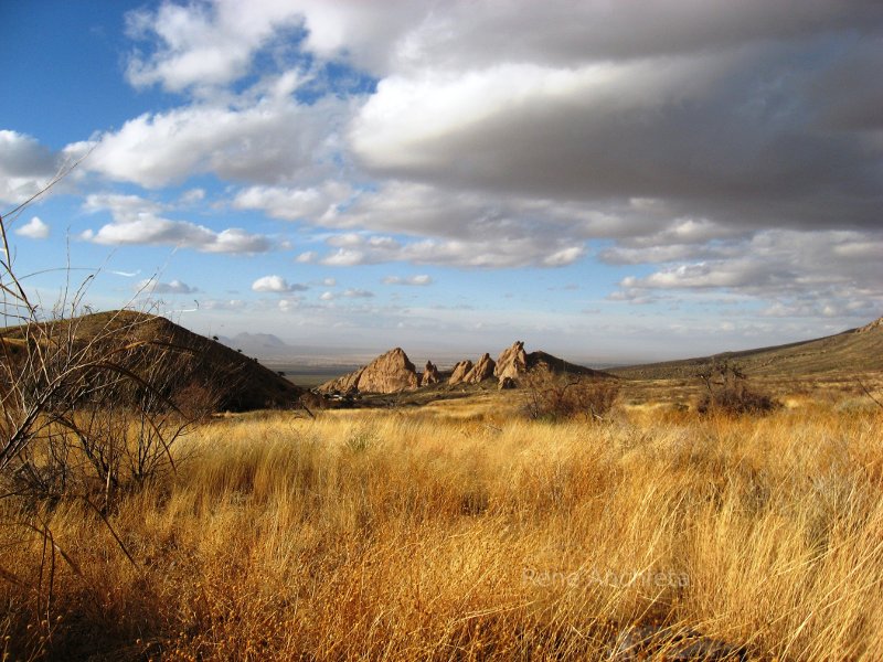 Organ mountains, New Mexico.