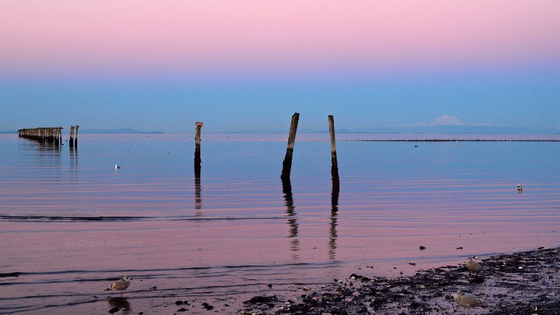 Dungeness on the North Olympic Peninsula of Washington State.