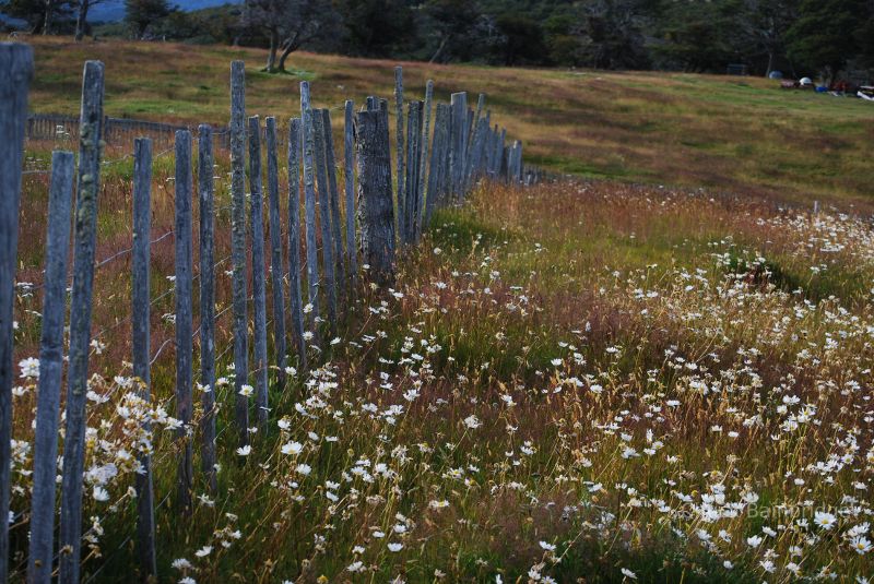 Tierra del Fuego, Argentina.  South America.