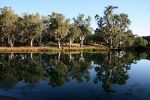 Reflections In Edward River, New South Wales, Australia