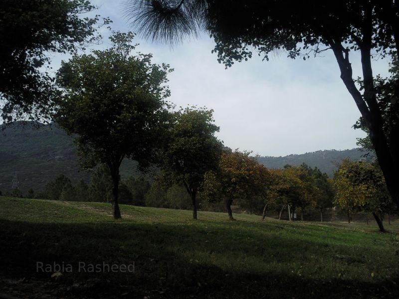 Gardens of Faisal Mosque,surrounded by  Margalla Hills.