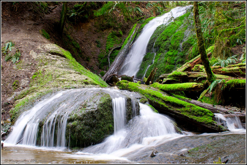 Coal Creek Falls in Cougar Mountain Regional Wildland Park.