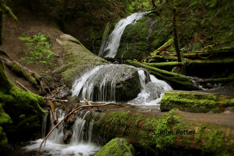 Coal Creek Falls