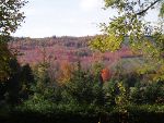 fall colors in canada