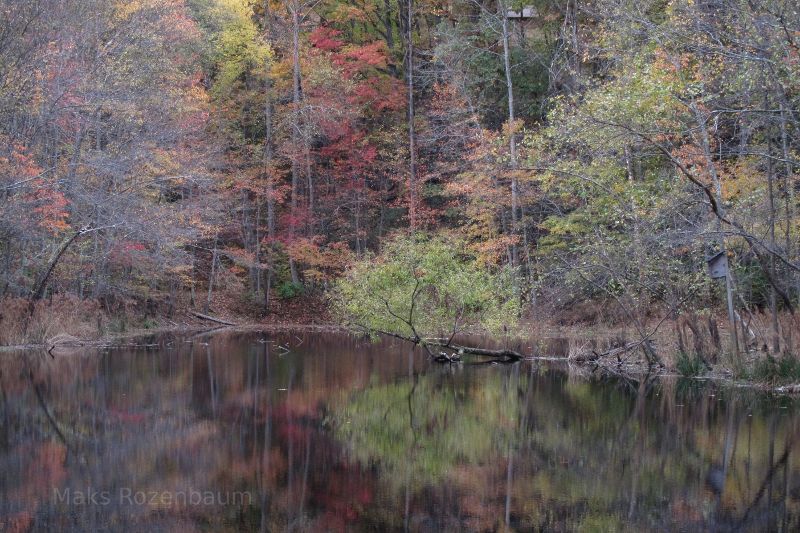 Maryland lake in fall foliage.