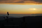 Sunset on the Rocky Mountains in Idaho and Montana