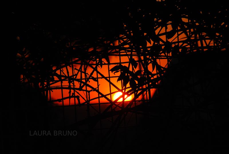 Setting Sun in Brazil