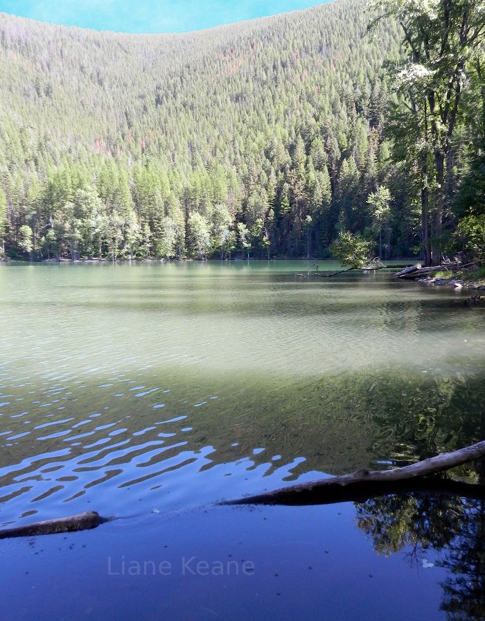 Elk Lake in Montana