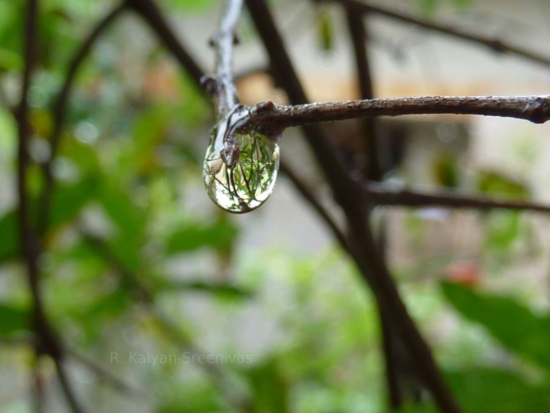 Drop of water in India.