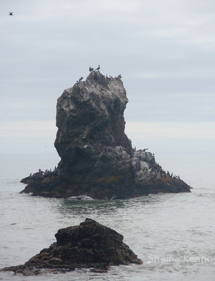 Rock Pillar in the ocean.
