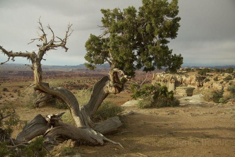 Utah landscape