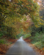 English farm road