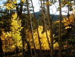 Rio Grande National Forest, Colorado