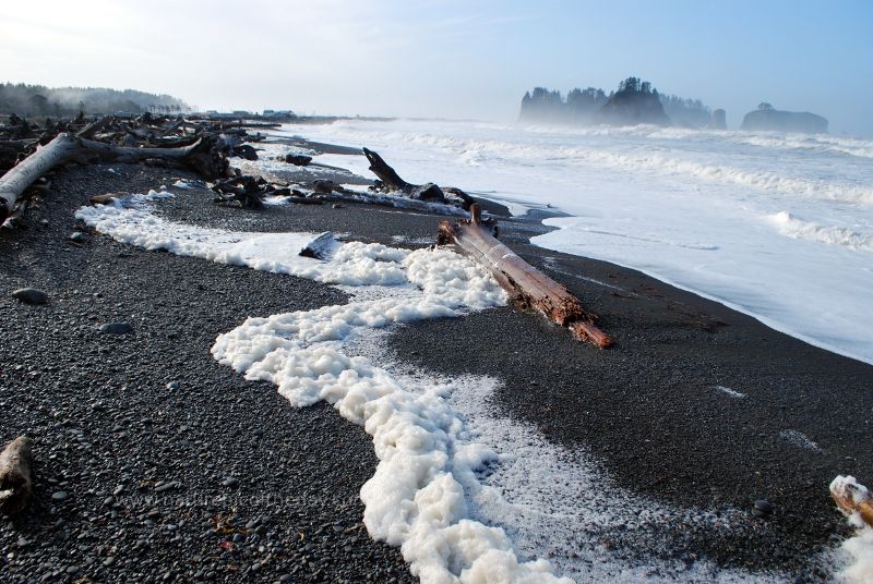 Rialto Beach, Olympic National Park