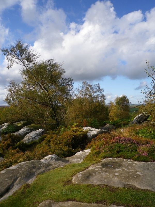 Brimham Rocks, Yorkshire, England