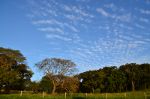 Beautiful meadow and sky in Brazil