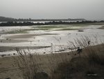 Siuslaw river in Oregon