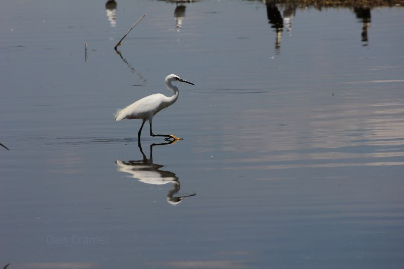 Lake Nakuru