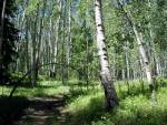 A hike through South San Juan Wilderness, CO.