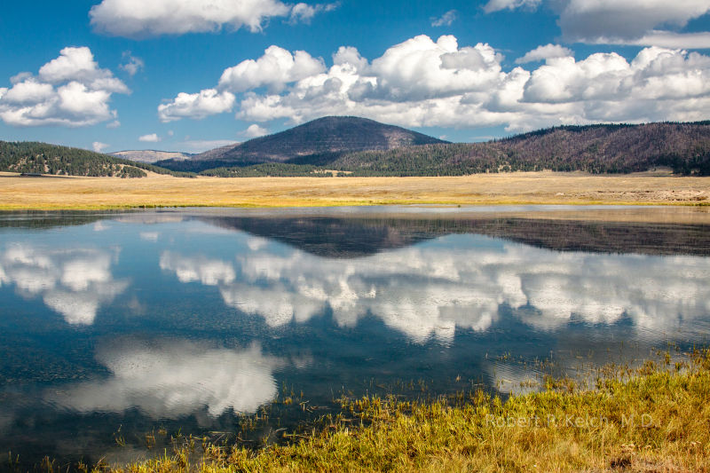 Beautiful lake in New Mexico.