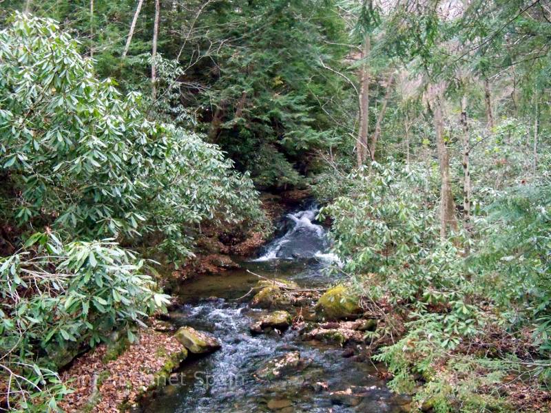 Stream outside of Pittsburgh. 