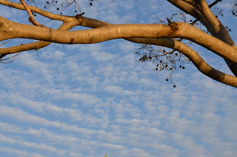 Framed sky and clouds