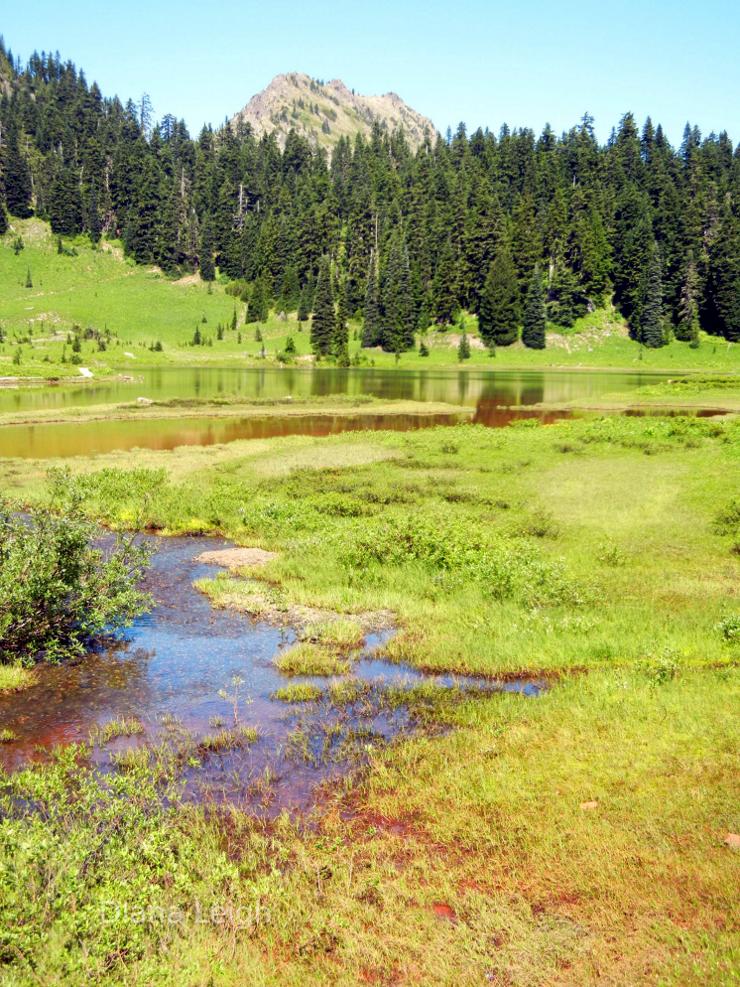 Tipsoo Lake