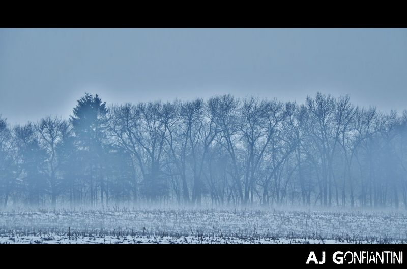 Fog rolling in from the Wisconsin woods