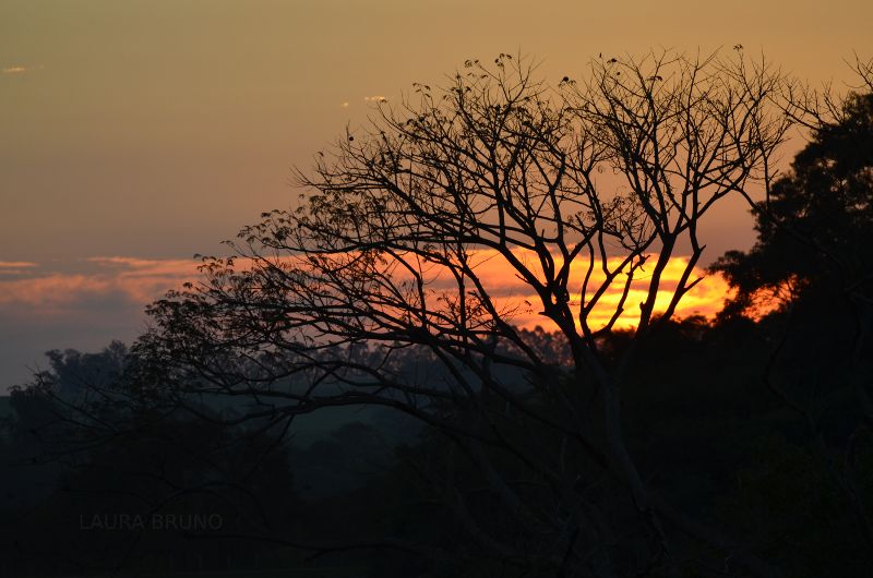 Sunset in Brazil