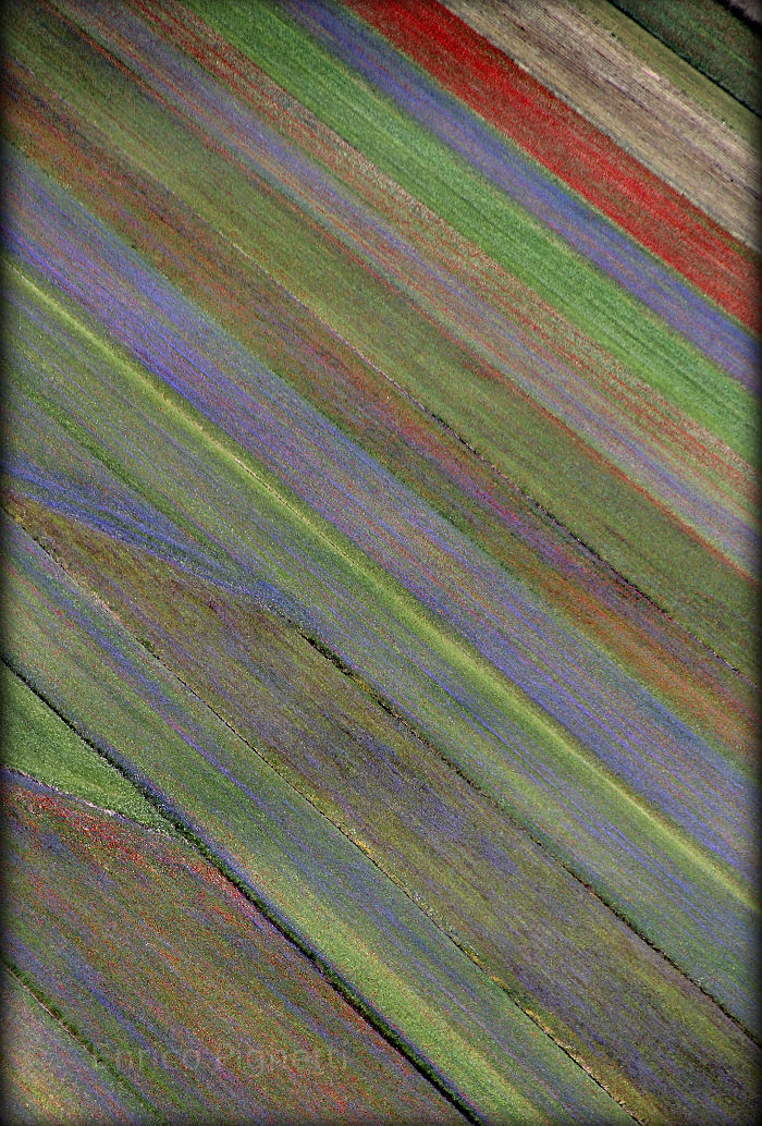 Pian Grande, Castelluccio di Norcia, Italy