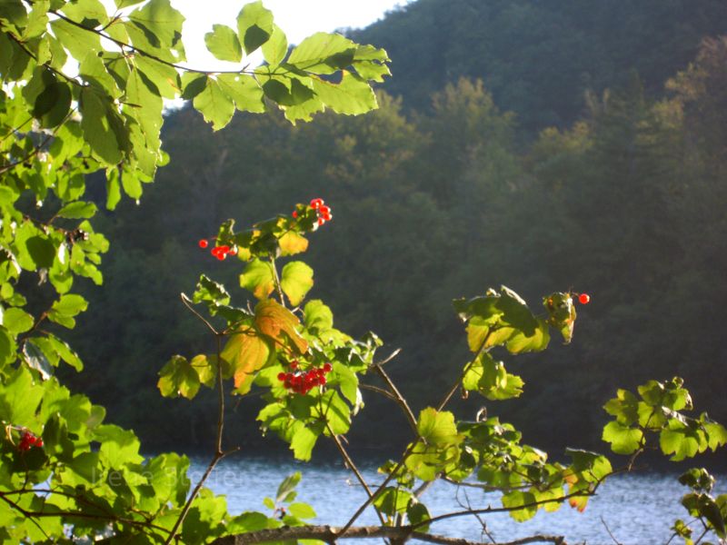 Plitvice Lakes National Park - located in the heart of Croatia, UNESCO World Heritage site