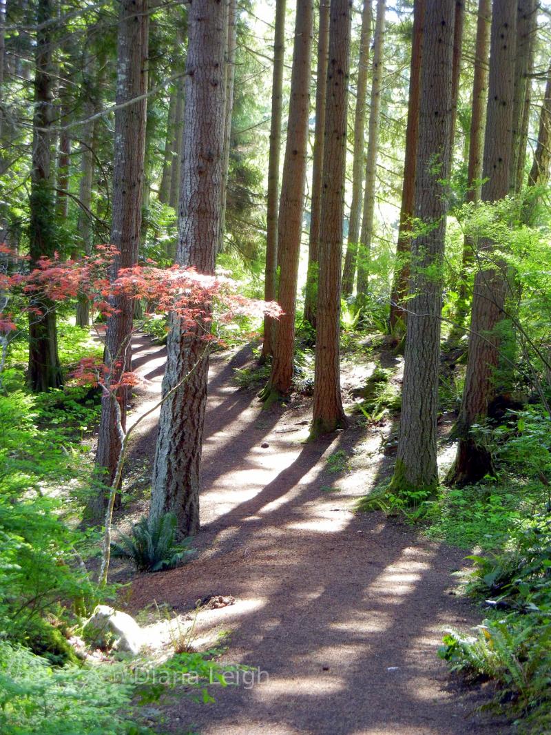 Bloedel Reserve, Bainbridge Island, WA