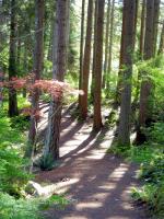 Bloedel Reserve, Bainbridge Island, WA