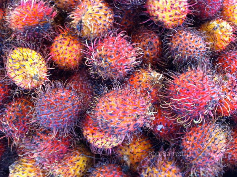 Fruit on Canal Street, New York City