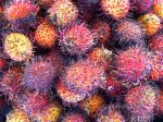 Fruit on Canal Street, New York City